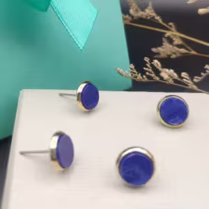 Blue Oval Stud Earrings