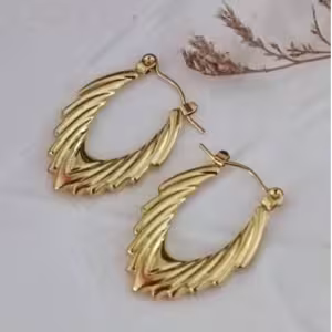 Golden Fan Fringe Hoop Earrings