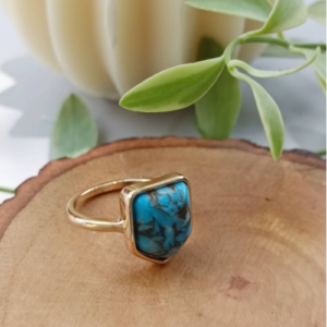 Turquoise Shield Ring
