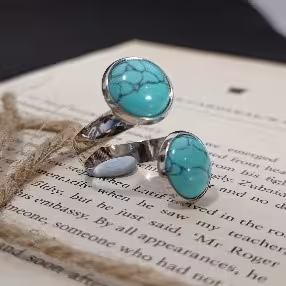 Double Tropical Ring