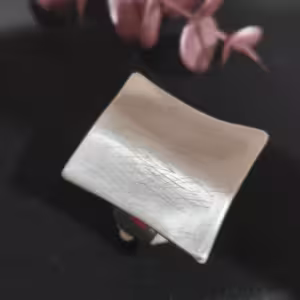 Silver Curved Plate Ring