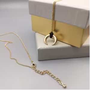 Gold Crescent Horn Necklace