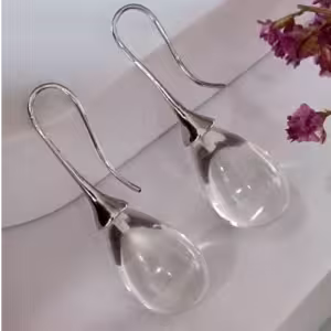 Silver Loop Acrylic Earrings