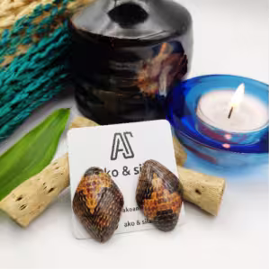 Shell Cone Stud Earrings
