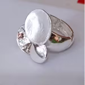 Silver Satin Disc Ring