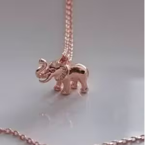 Rose Gold Elephant Side Necklace